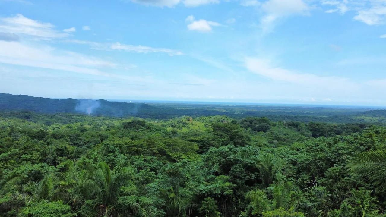El Mamey — El territorio